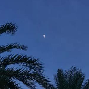 汤芳—乌苏里船歌写真
